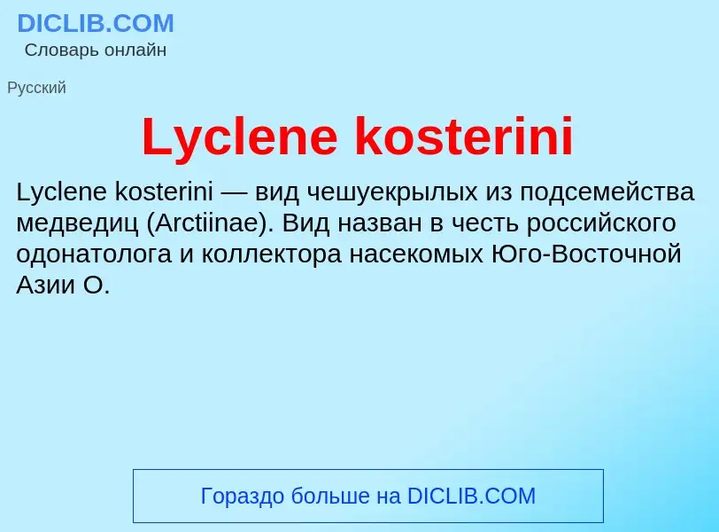 Τι είναι Lyclene kosterini - ορισμός