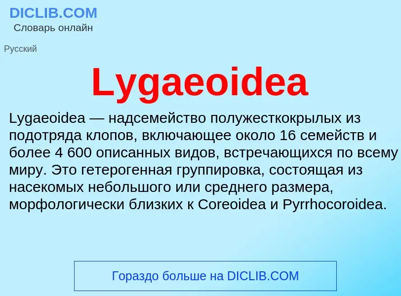 Что такое Lygaeoidea - определение