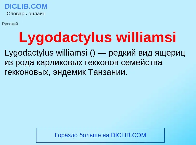 What is Lygodactylus williamsi - meaning and definition