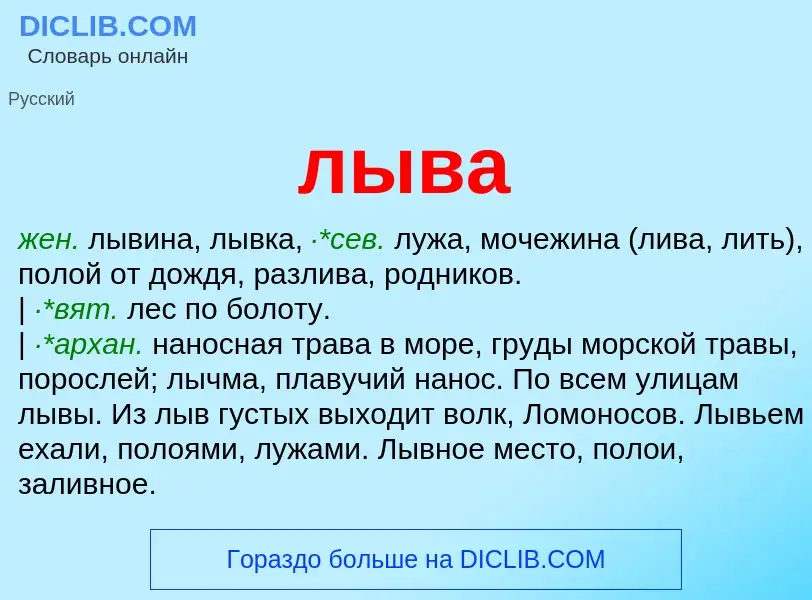 Что такое лыва - определение