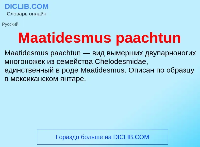 ¿Qué es Maatidesmus paachtun? - significado y definición