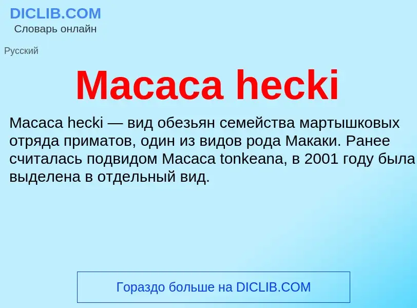 Τι είναι Macaca hecki - ορισμός