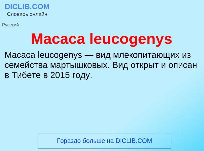 Was ist Macaca leucogenys - Definition