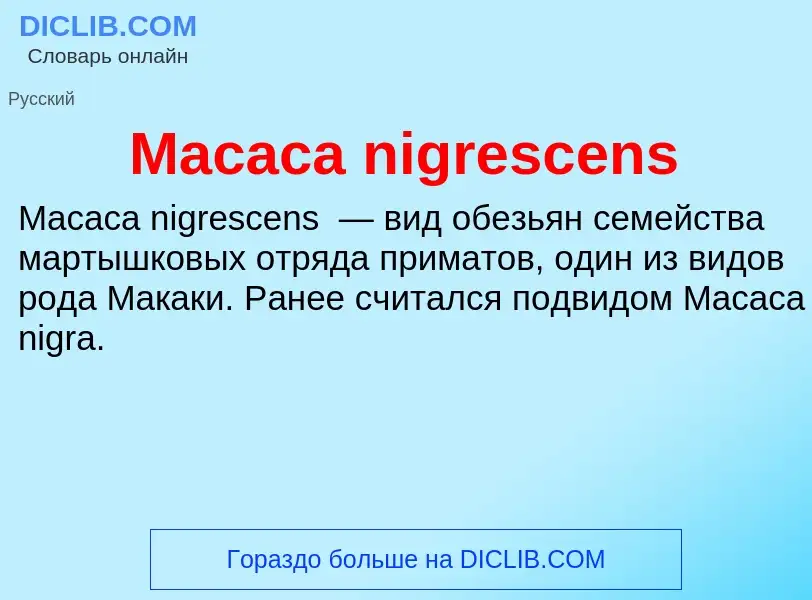 Τι είναι Macaca nigrescens - ορισμός