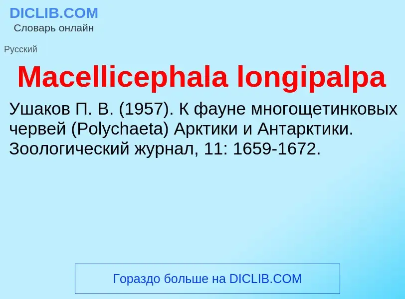 Τι είναι Macellicephala longipalpa - ορισμός