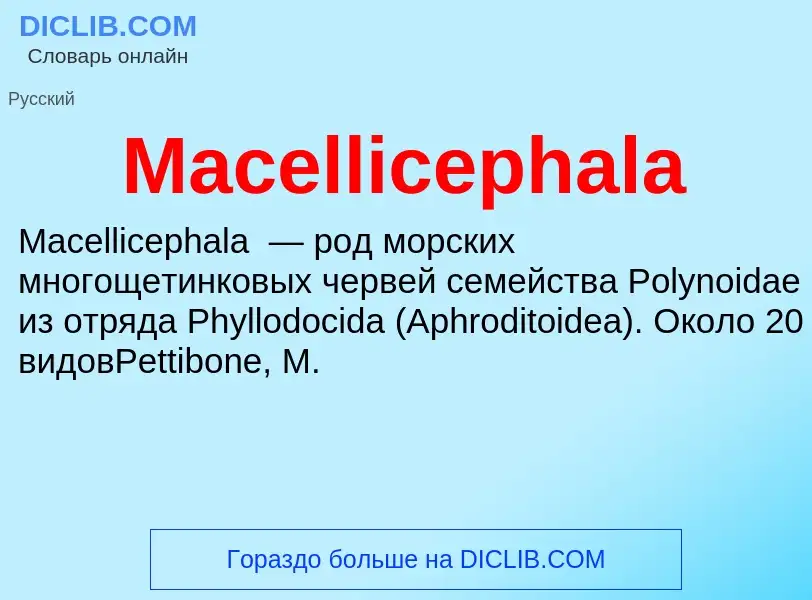 Τι είναι Macellicephala - ορισμός