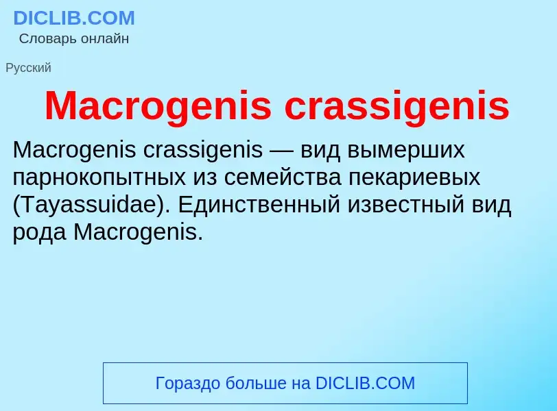 Τι είναι Macrogenis crassigenis - ορισμός