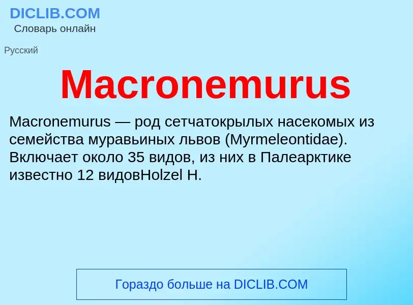 Τι είναι Macronemurus - ορισμός