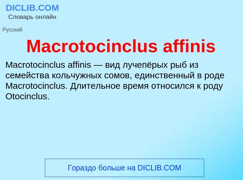 Τι είναι Macrotocinclus affinis - ορισμός