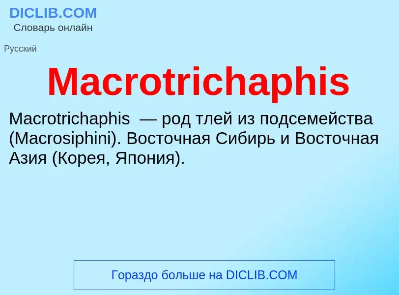 Что такое Macrotrichaphis - определение