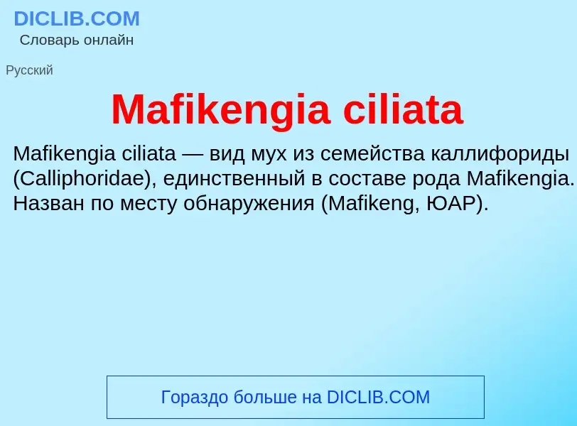 ¿Qué es Mafikengia ciliata? - significado y definición