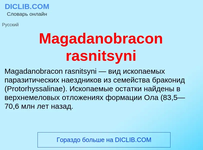 ¿Qué es Magadanobracon rasnitsyni? - significado y definición