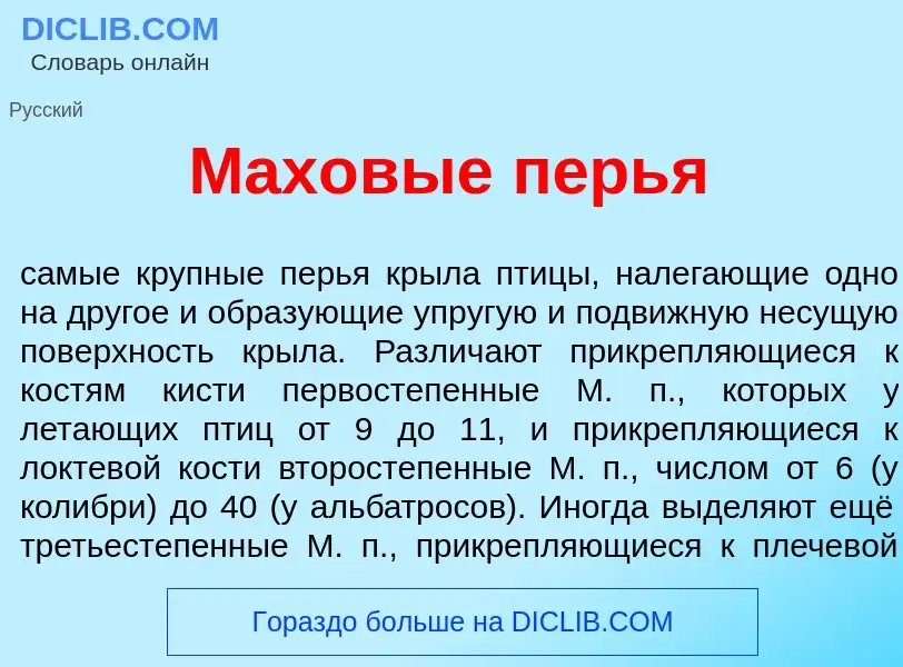 Что такое Махов<font color="red">ы</font>е п<font color="red">е</font>рья - определение