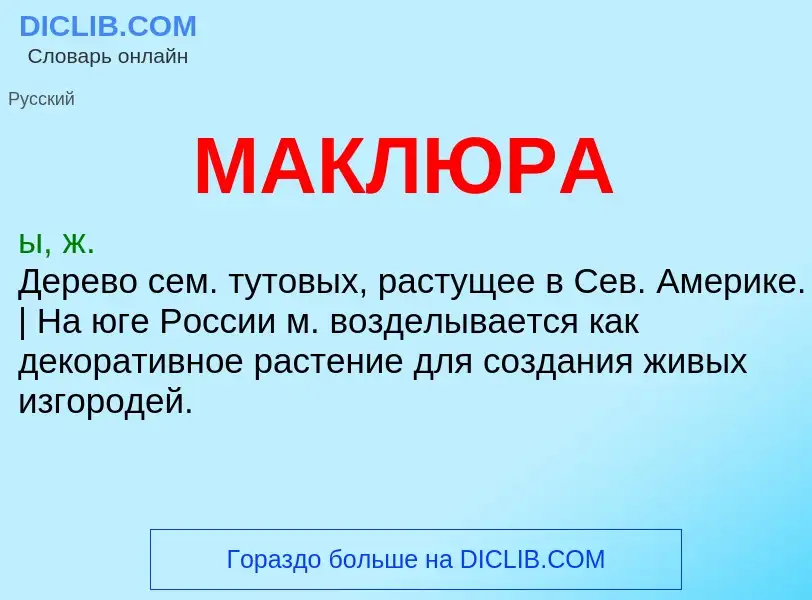 What is МАКЛЮРА - definition