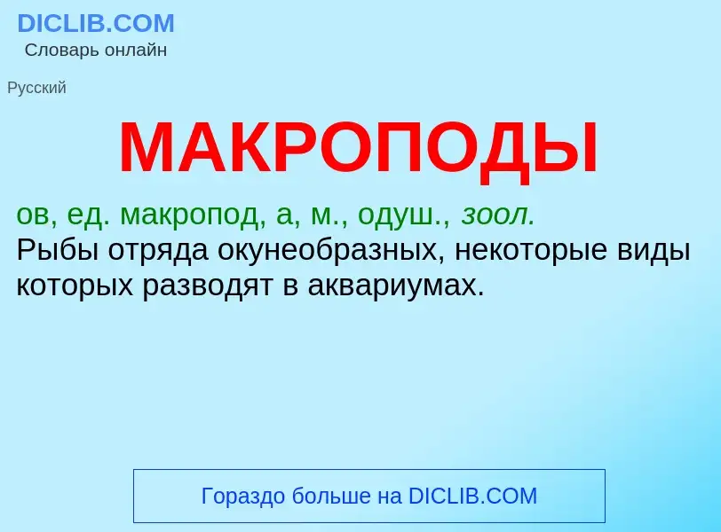 Что такое МАКРОПОДЫ - определение