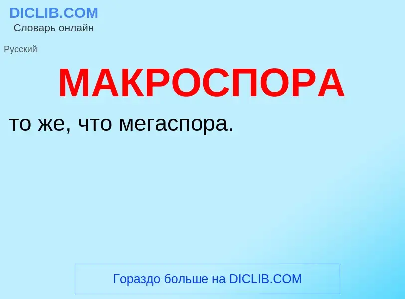 What is МАКРОСПОРА - definition