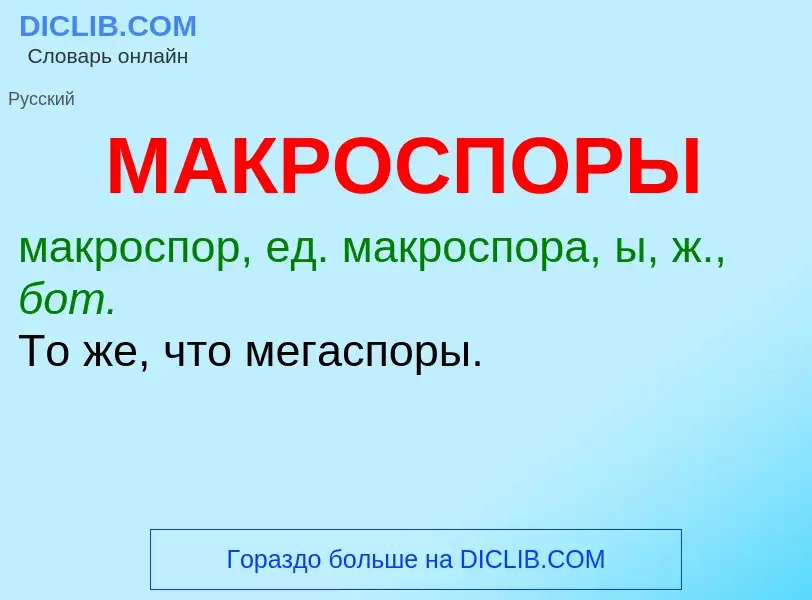 Что такое МАКРОСПОРЫ - определение