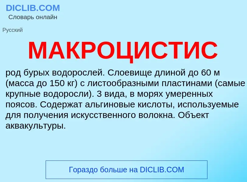 Что такое МАКРОЦИСТИС - определение