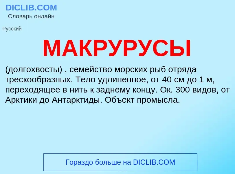 Что такое МАКРУРУСЫ - определение