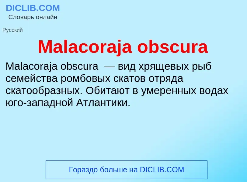 Τι είναι Malacoraja obscura - ορισμός