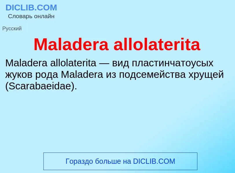 Τι είναι Maladera allolaterita - ορισμός