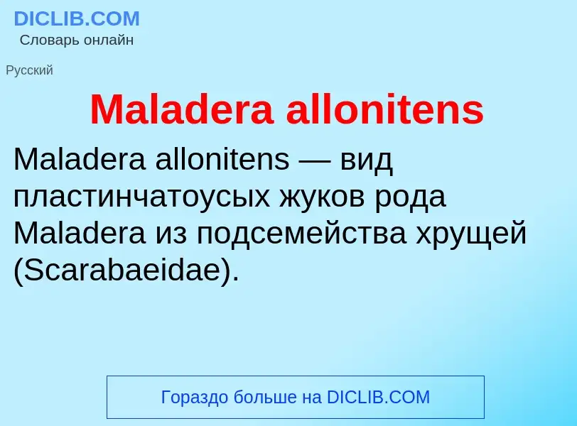 Τι είναι Maladera allonitens - ορισμός