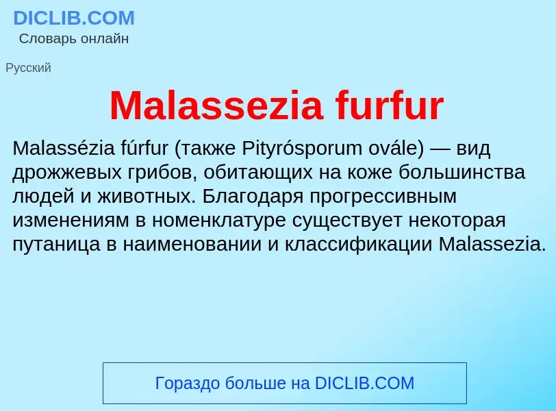 Τι είναι Malassezia furfur - ορισμός