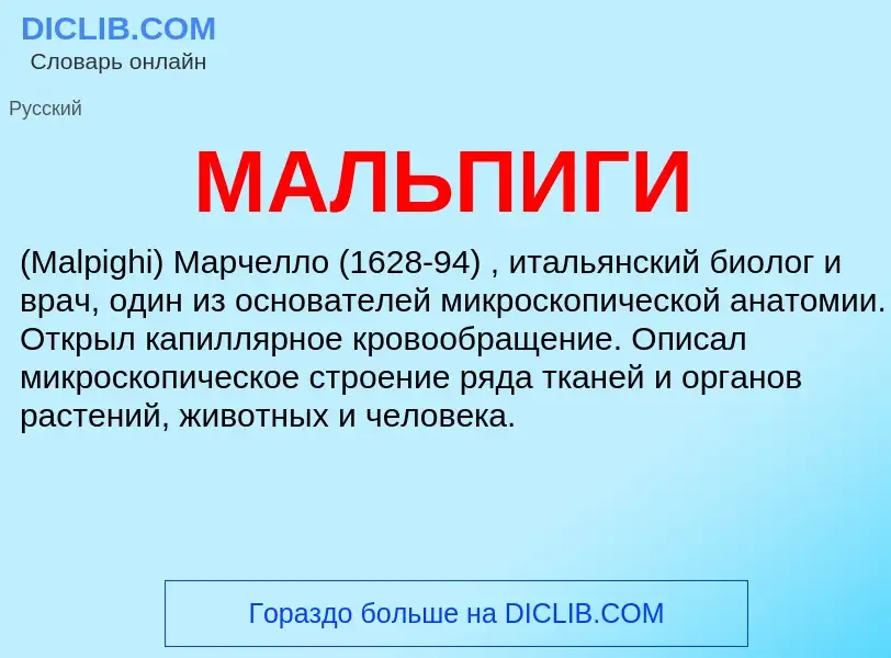 What is МАЛЬПИГИ - definition