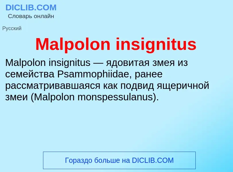 Τι είναι Malpolon insignitus - ορισμός