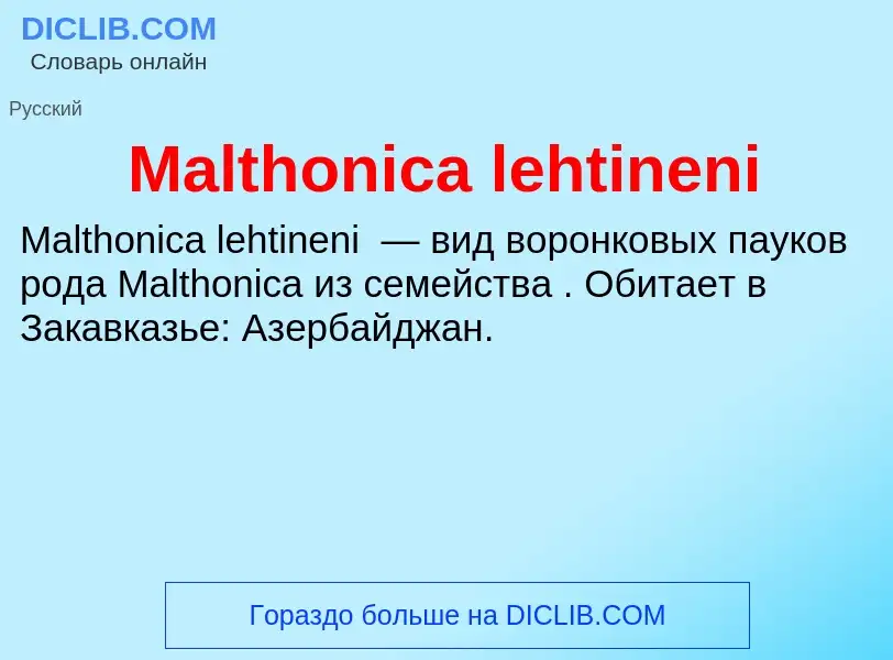 Τι είναι Malthonica lehtineni - ορισμός