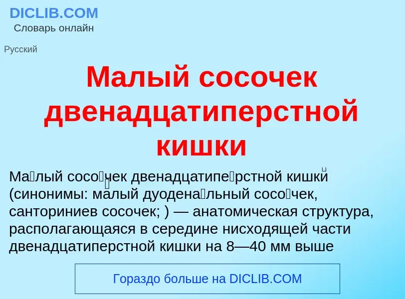 Что такое Малый сосочек двенадцатиперстной кишки - определение