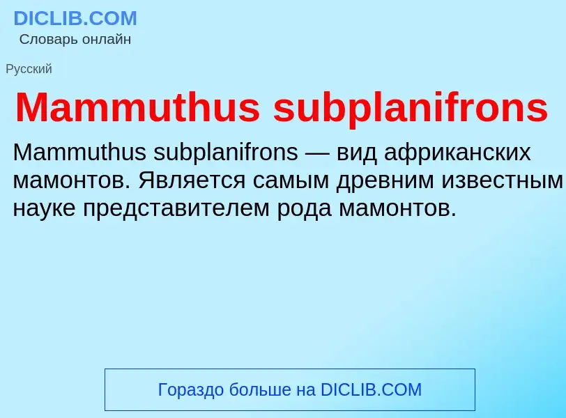 Τι είναι Mammuthus subplanifrons - ορισμός