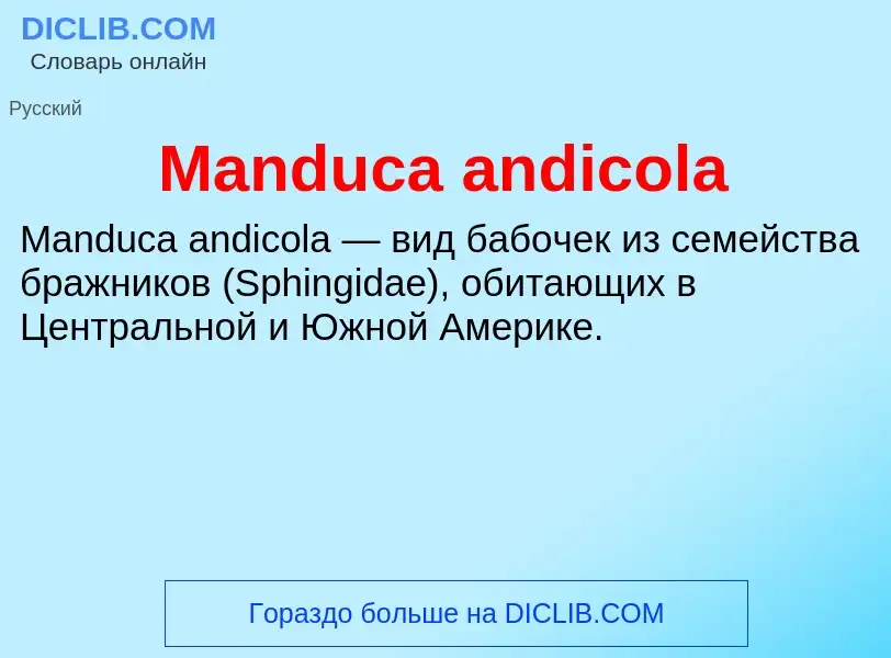 Τι είναι Manduca andicola - ορισμός