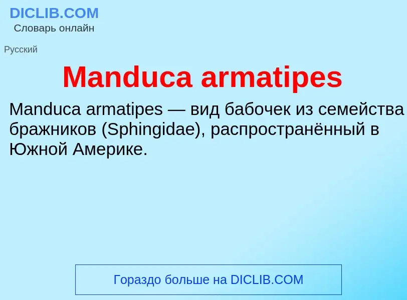 Τι είναι Manduca armatipes - ορισμός