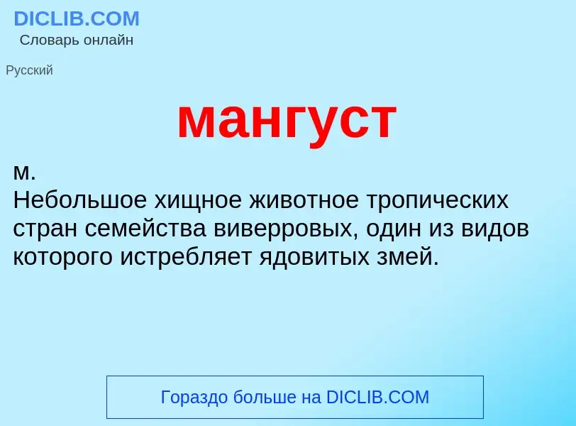 Что такое мангуст - определение