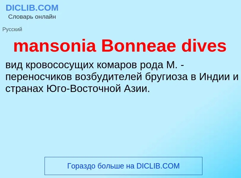 Was ist mansonia Bonneae dives - Definition