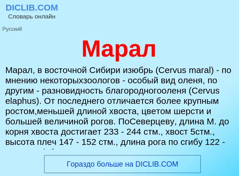 What is Марал - meaning and definition