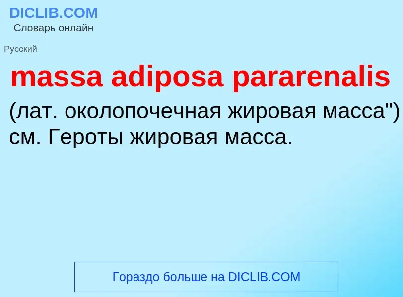 Was ist massa adiposa pararenalis  - Definition