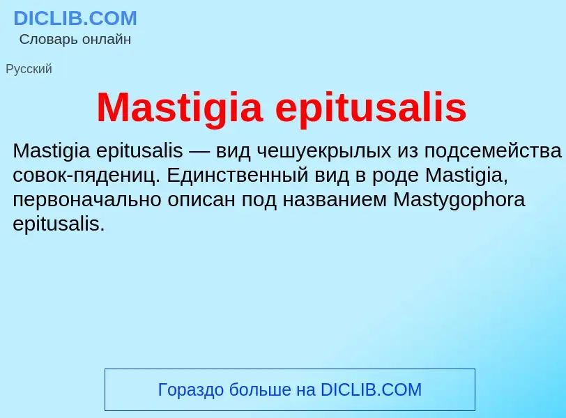 Что такое Mastigia epitusalis - определение