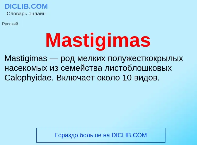 Что такое Mastigimas - определение