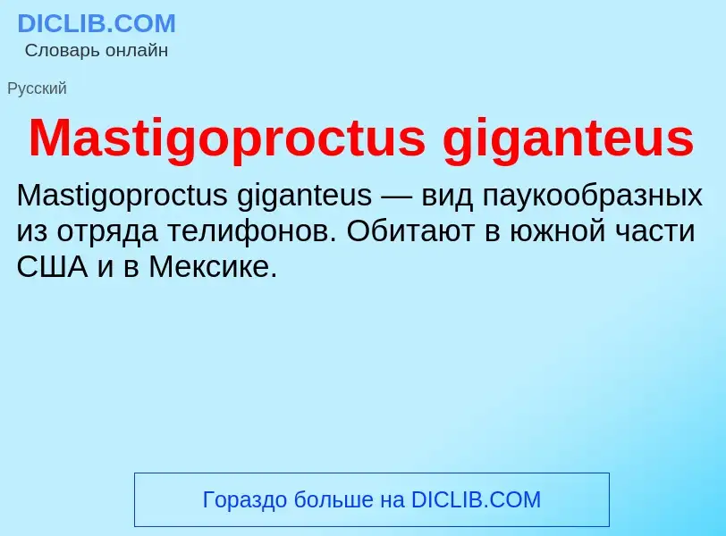 Что такое Mastigoproctus giganteus - определение