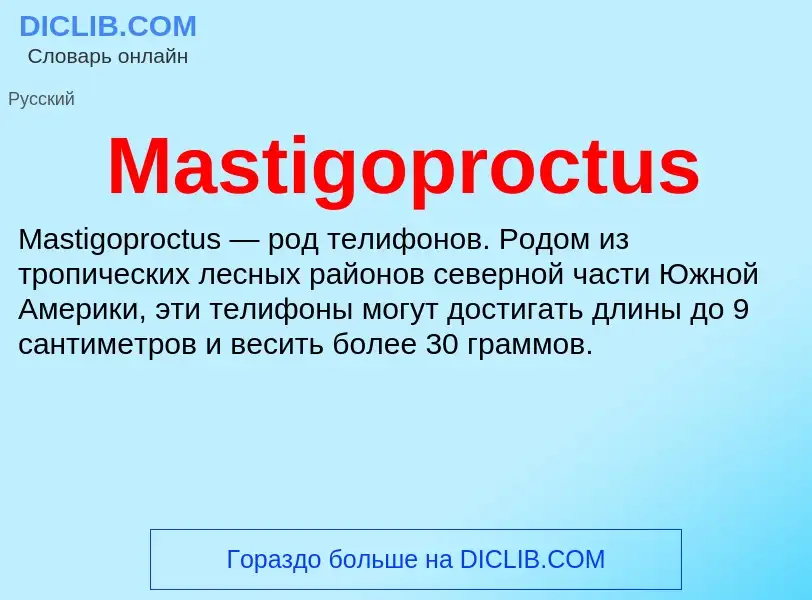 Что такое Mastigoproctus - определение