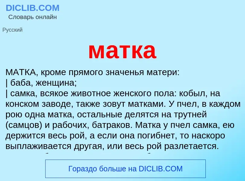 What is матка - meaning and definition