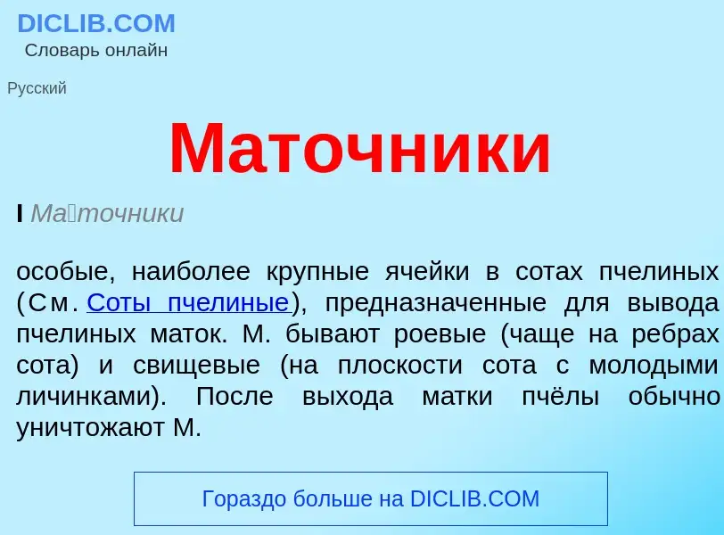 Wat is Маточники - definition