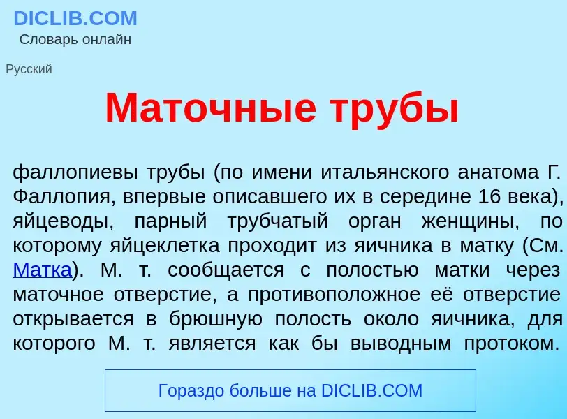 What is М<font color="red">а</font>точные тр<font color="red">у</font>бы - definition