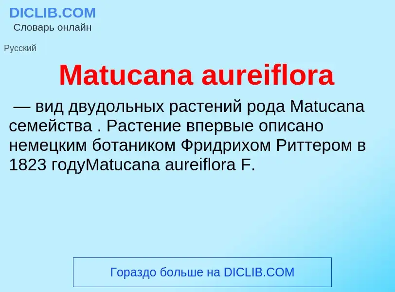 Что такое Matucana aureiflora - определение