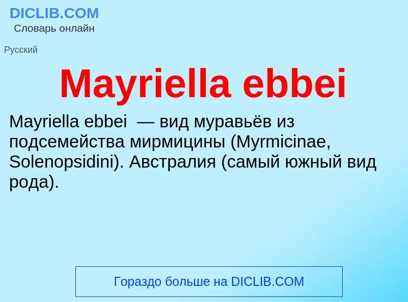 Was ist Mayriella ebbei - Definition