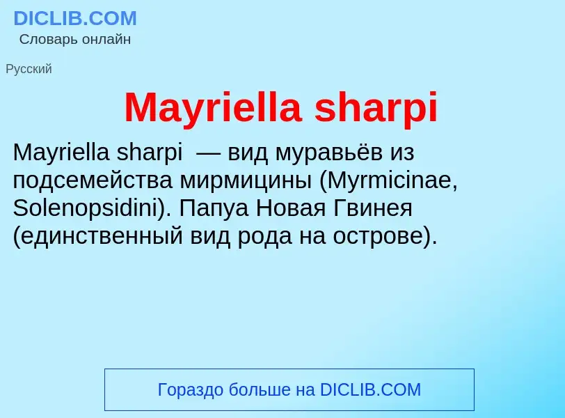 Was ist Mayriella sharpi - Definition