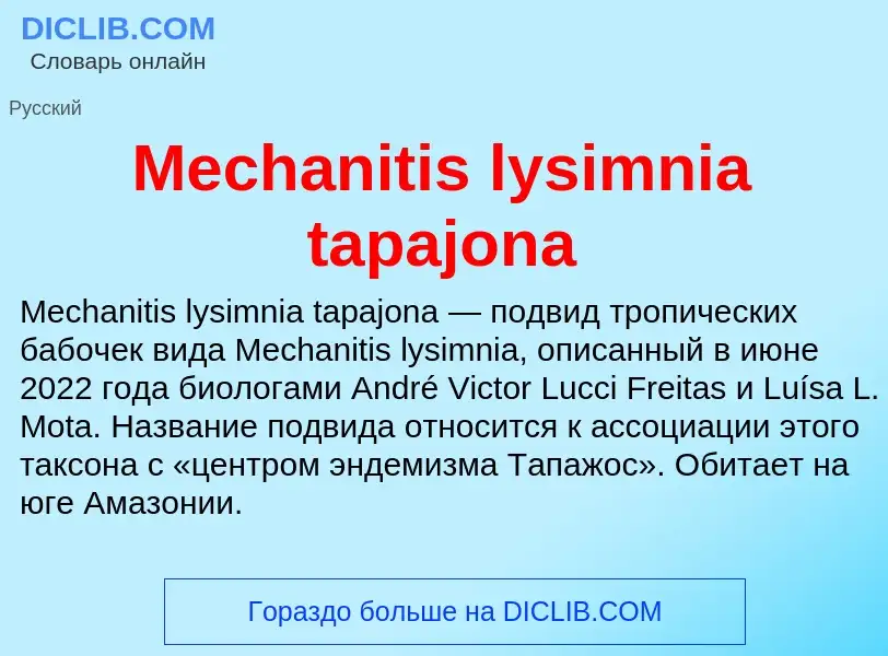 Was ist Mechanitis lysimnia tapajona - Definition