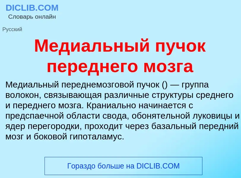 Τι είναι Медиальный пучок переднего мозга - ορισμός